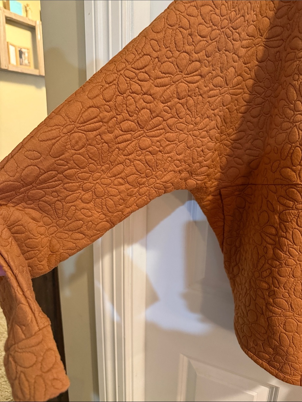 Hooded Teddy Jacket in Rust Brown - Unbranded - Picture 3 of 5